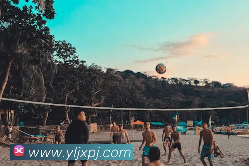 澳门新葡京官方入口服务体系